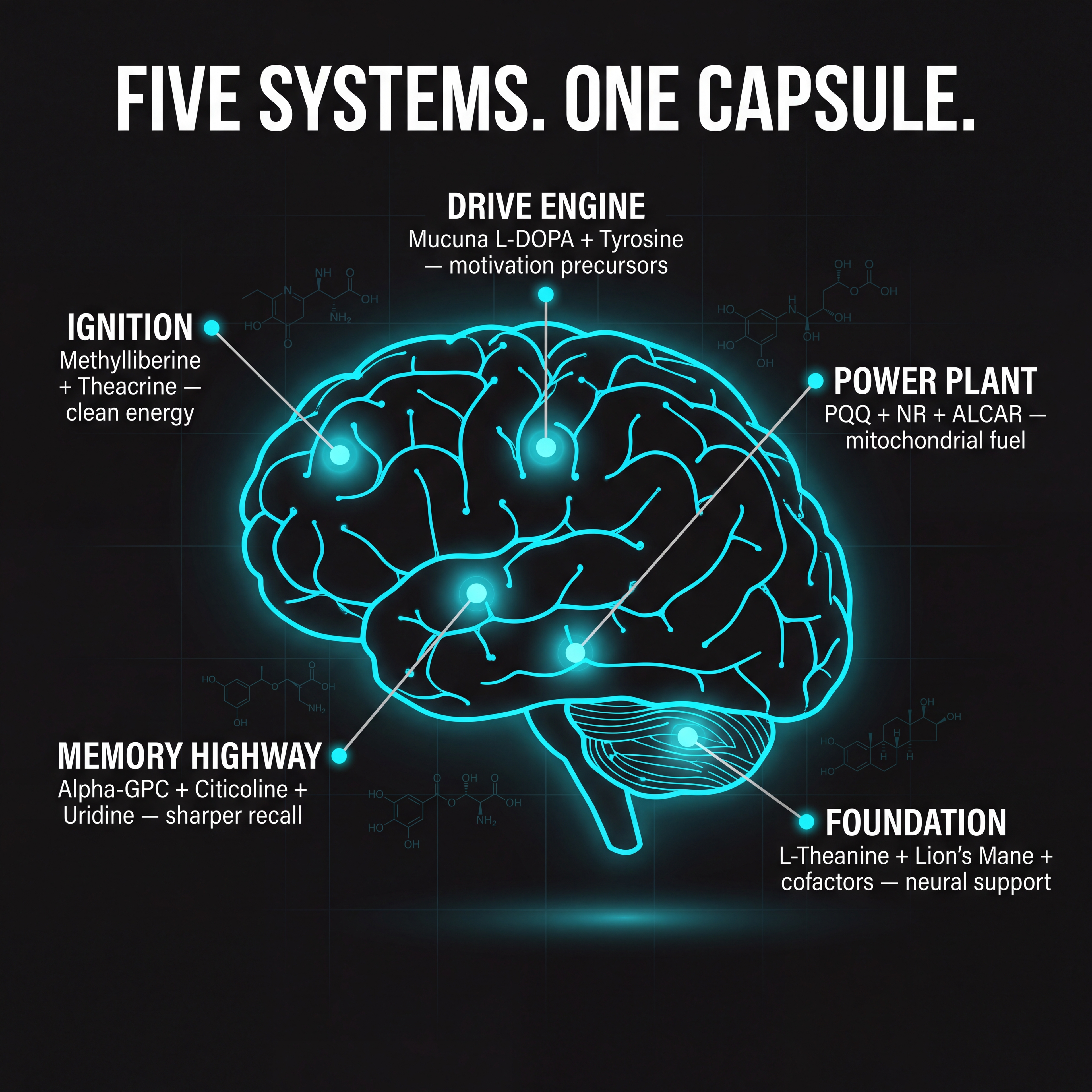 Velaxen Cognitive Boost