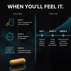 Velaxen Cognitive Boost